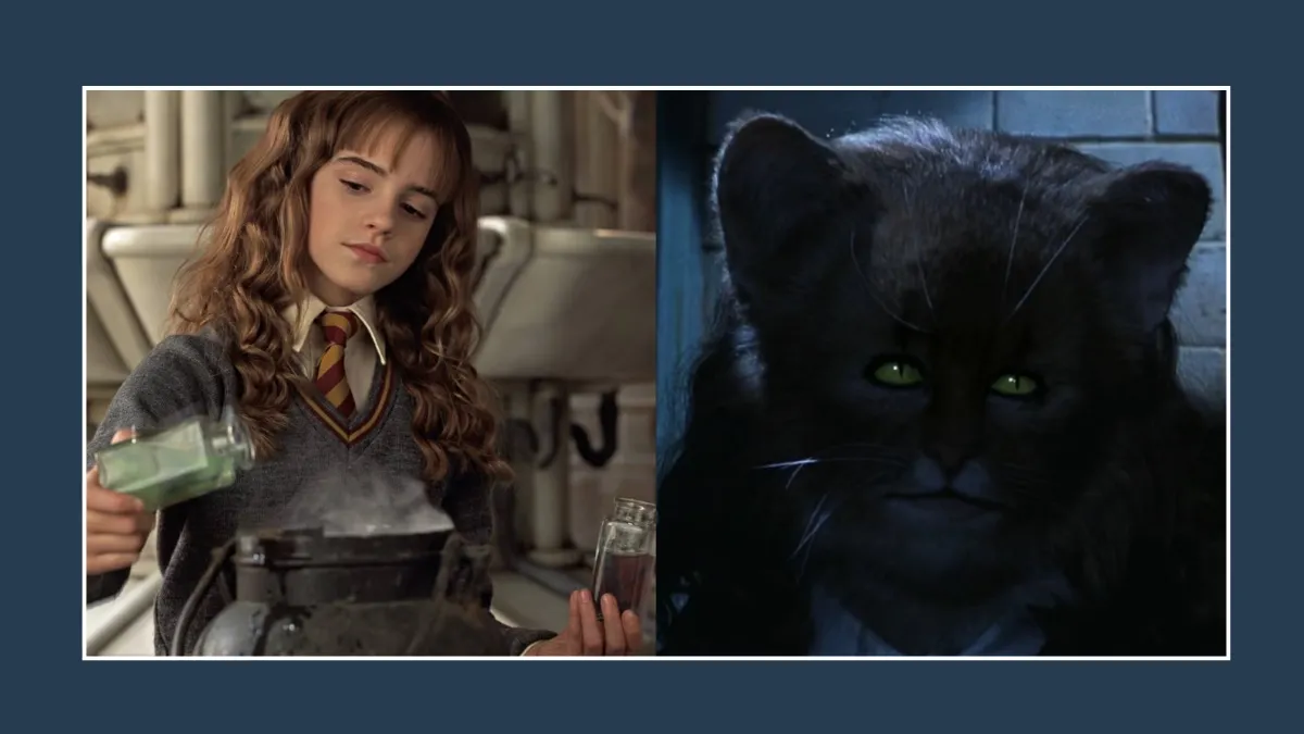 Polyjuice Potion &ndash; &lsquo;Harry Potter and the Chamber of Secrets&rsquo;