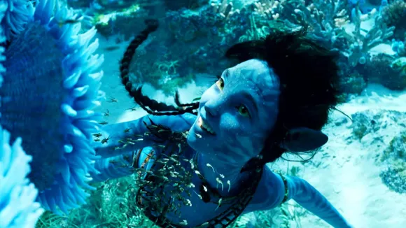 Untitled design (79)