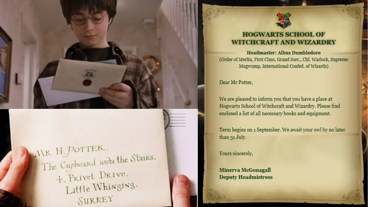 What If Harry Potter Hadn&rsquo;t Been Chosen for Hogwarts?